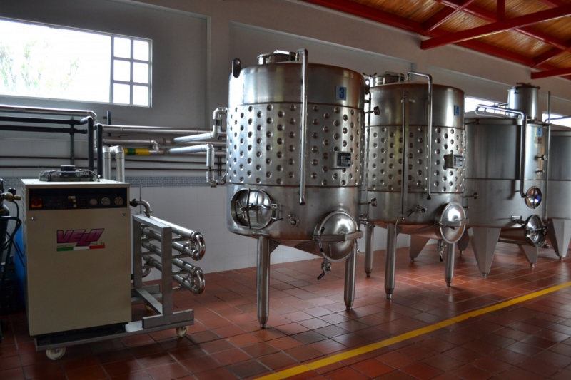 cave-LA CRAU-min_wine_production_cantine_winery_drink_alcohol_vine_beverage-902036